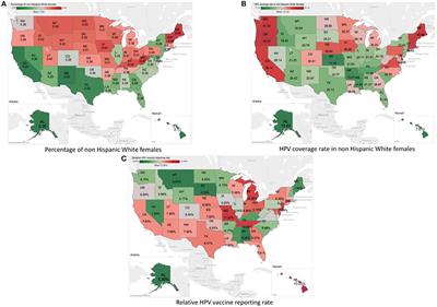 Characterization of the Differential Adverse Event Rates by Race/Ethnicity Groups for HPV Vaccine by Integrating Data From Different Sources